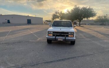 Chevrolet-Cheyenne-1989-2