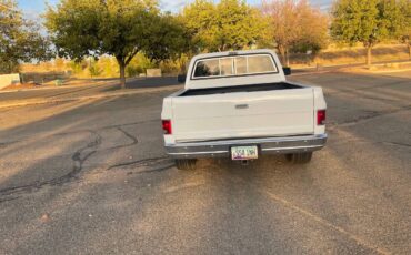 Chevrolet-Cheyenne-1989-5