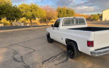 Chevrolet-Cheyenne-1989-6