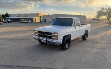 Chevrolet-Cheyenne-1989-9