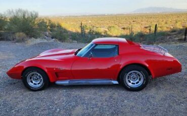 Chevrolet-Corvette-1976-12