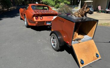 Chevrolet-Corvette-1977-10