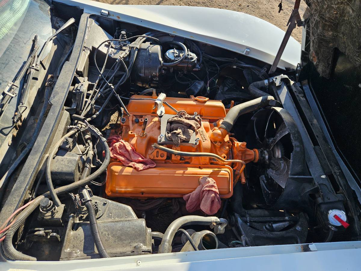 Chevrolet-Corvette-1977-6