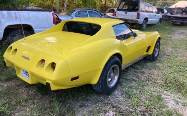 Chevrolet-Corvette-1977-8