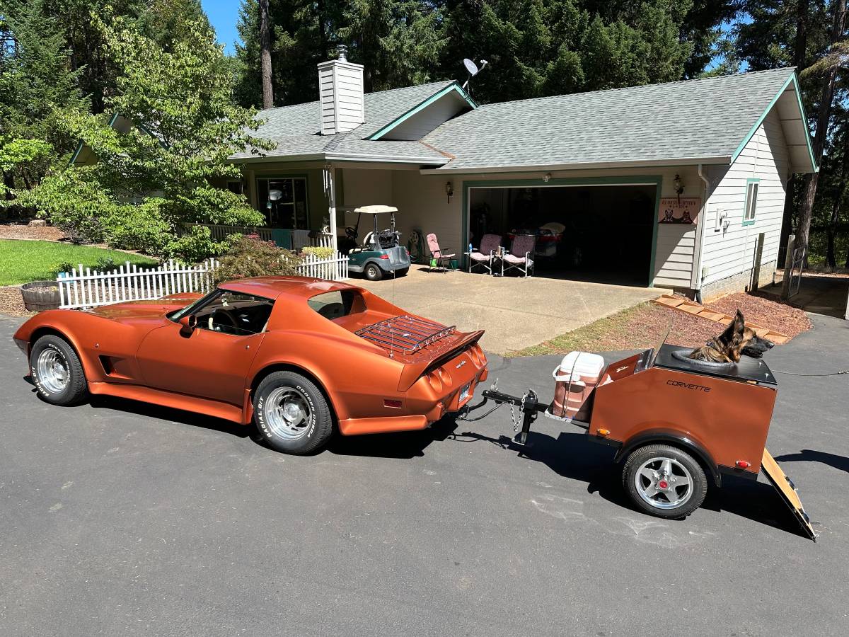 Chevrolet-Corvette-1977-9