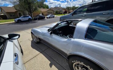 Chevrolet-Corvette-1978-10