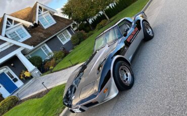 Chevrolet-Corvette-1978-3