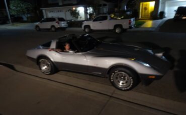 Chevrolet-Corvette-1978-8