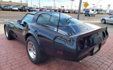 Chevrolet-Corvette-1980-8