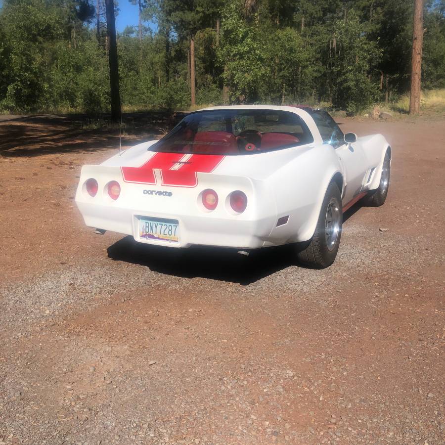 Chevrolet-Corvette-1980-8