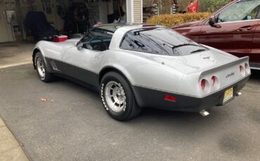 Chevrolet-Corvette-1981-19