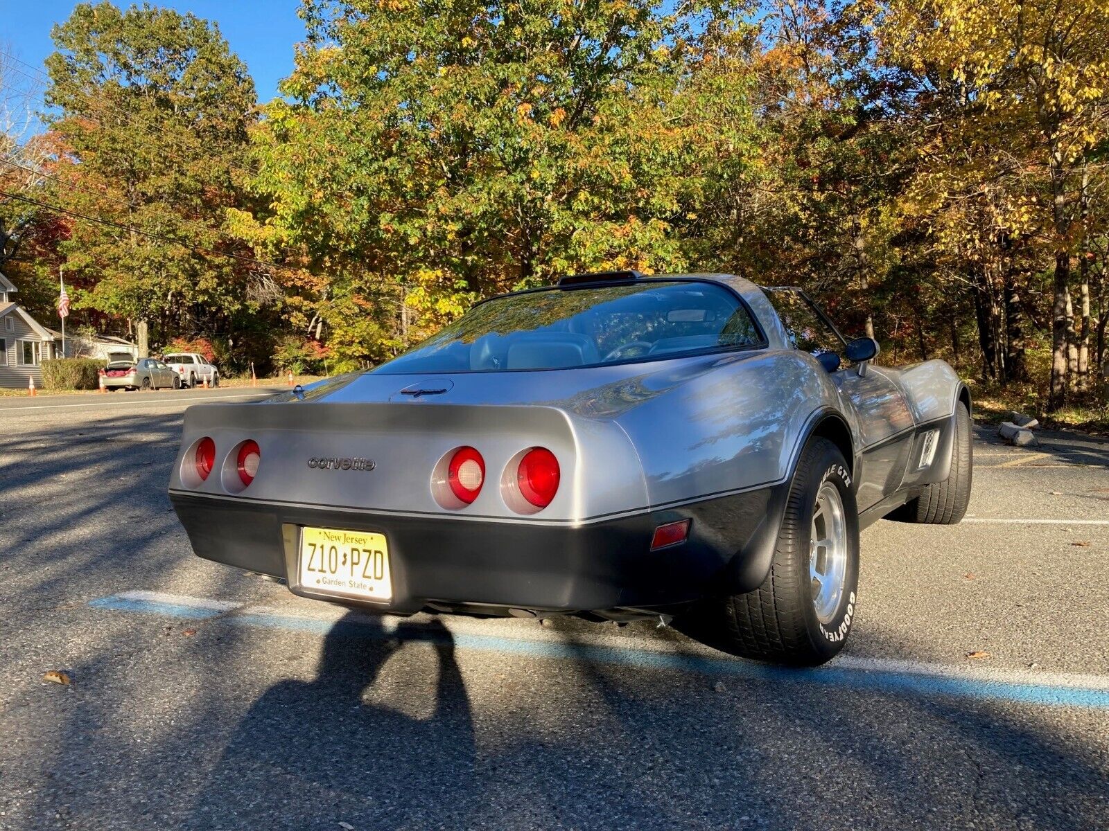 Chevrolet-Corvette-1981-6