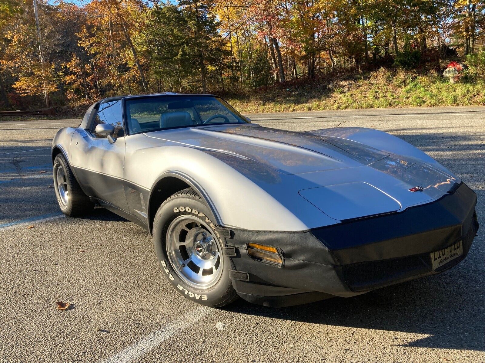 Chevrolet-Corvette-1981-7