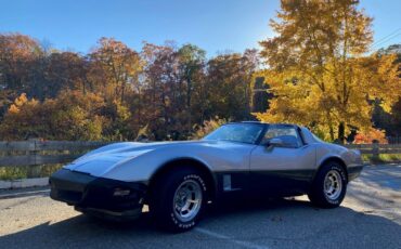 Chevrolet-Corvette-1981-8