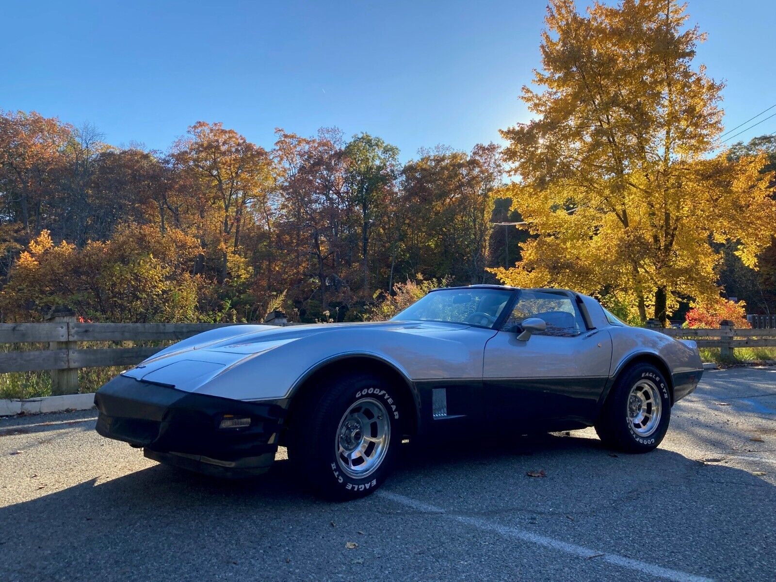 Chevrolet-Corvette-1981-8