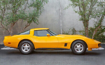 Chevrolet-Corvette-1981-9