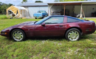 Chevrolet-Corvette-40th-edition-1993-4