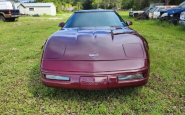 Chevrolet-Corvette-40th-edition-1993-5