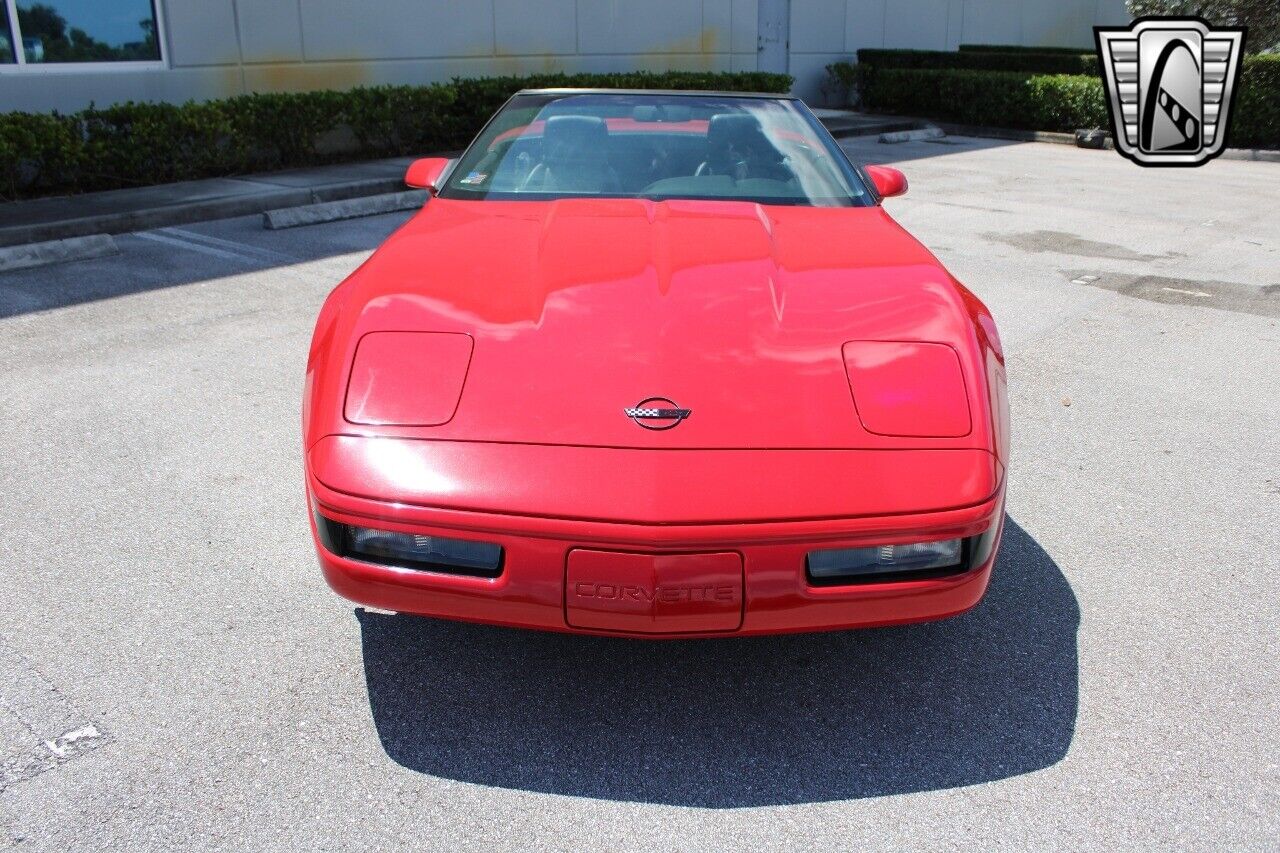 Chevrolet-Corvette-Cabriolet-1992-2