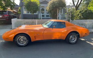 Chevrolet-Corvette-Coupe-1977-10