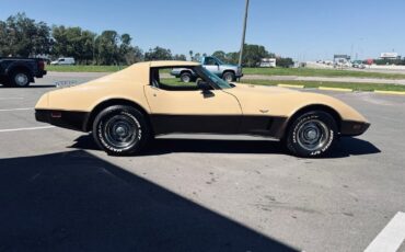 Chevrolet-Corvette-Coupe-1977-6