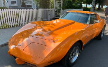 Chevrolet-Corvette-Coupe-1977-8