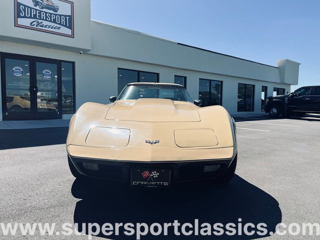 Chevrolet-Corvette-Coupe-1977-8