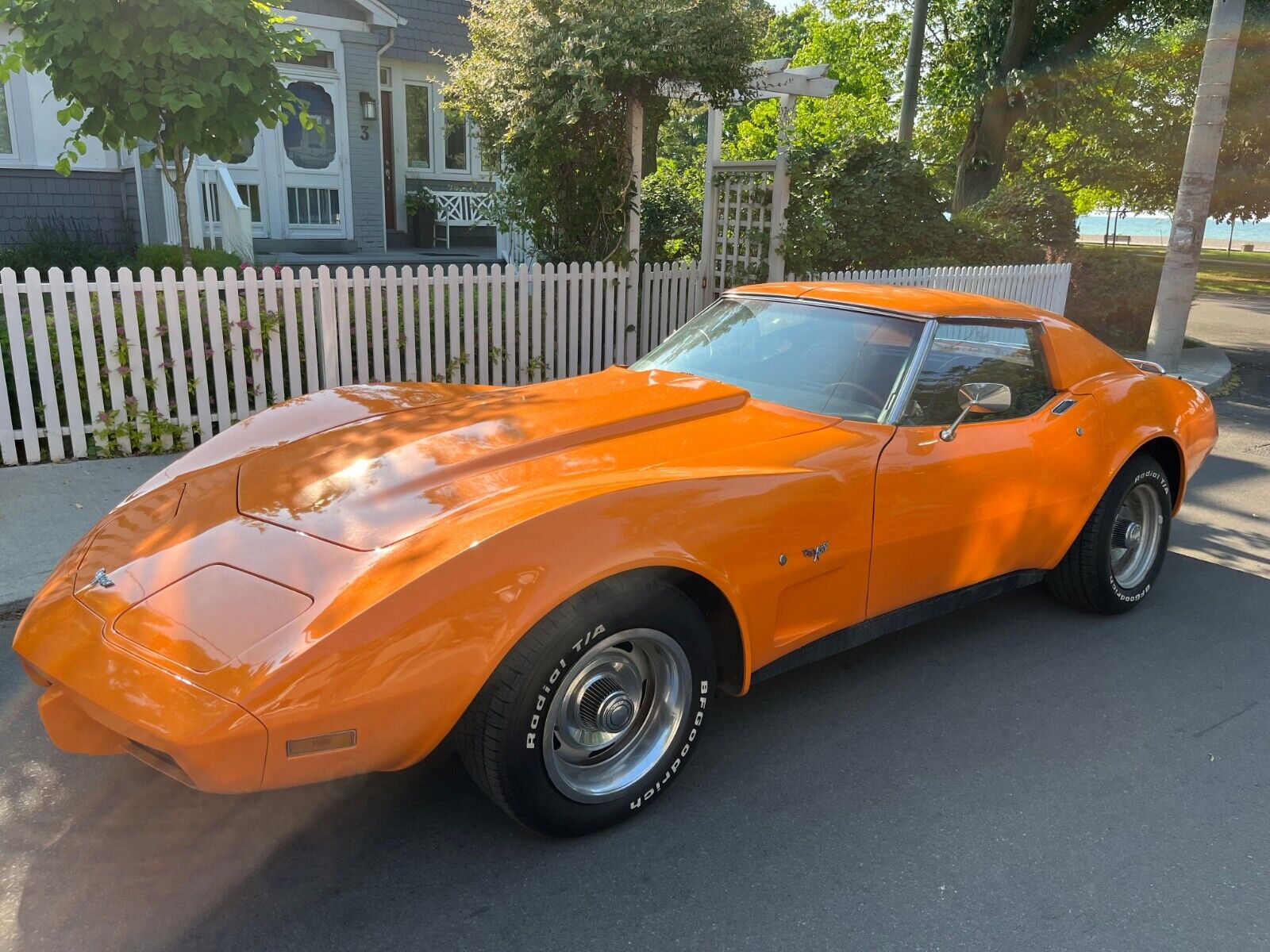 Chevrolet-Corvette-Coupe-1977-9