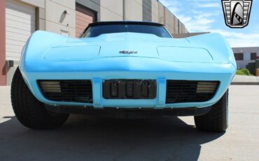 Chevrolet-Corvette-Coupe-1979-9