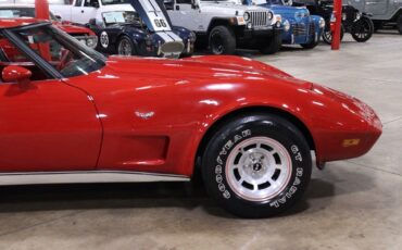 Chevrolet-Corvette-Coupe-1979-9