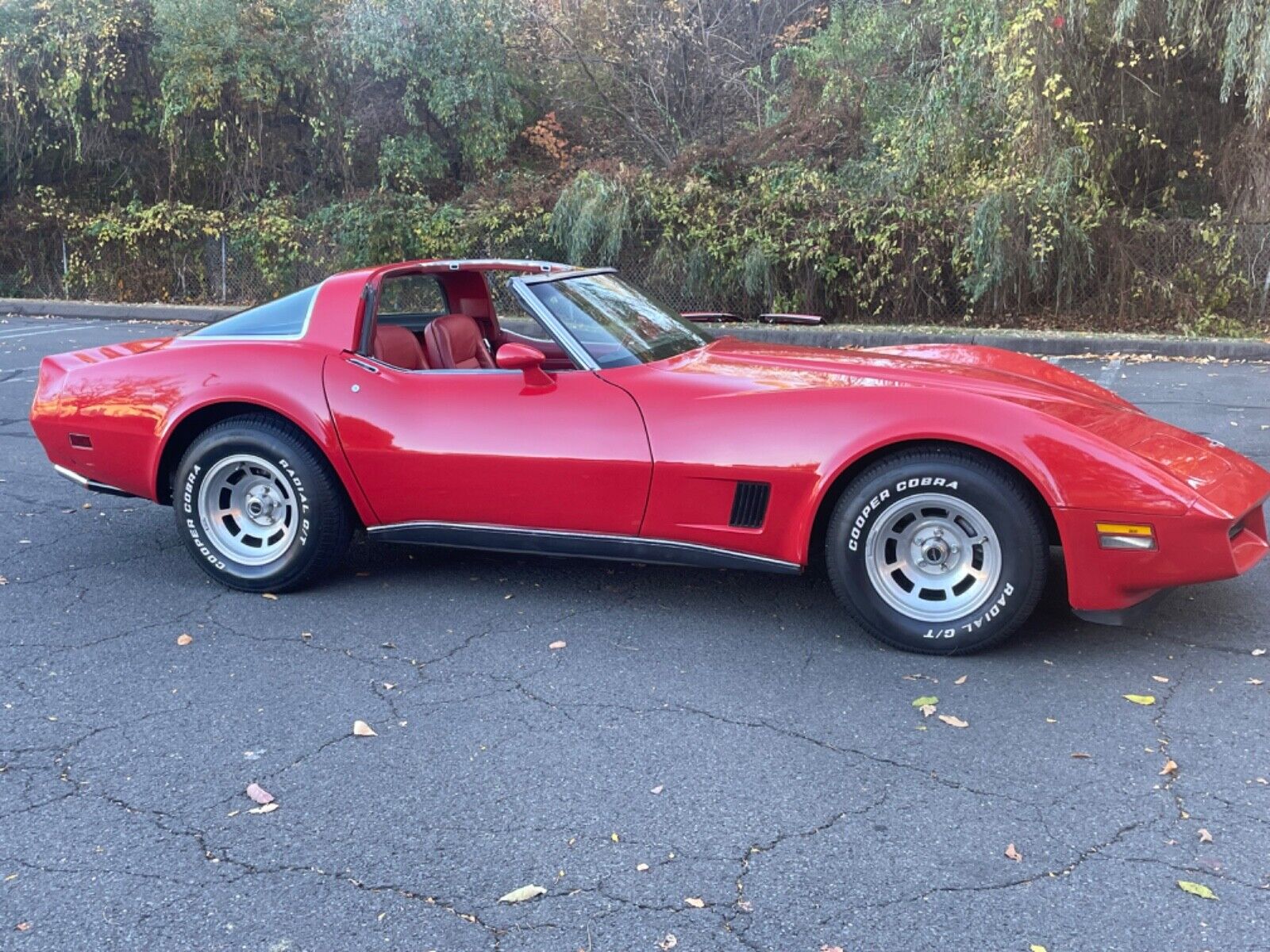 Chevrolet-Corvette-Coupe-1980-11