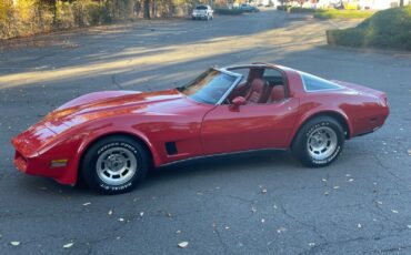 Chevrolet-Corvette-Coupe-1980-29