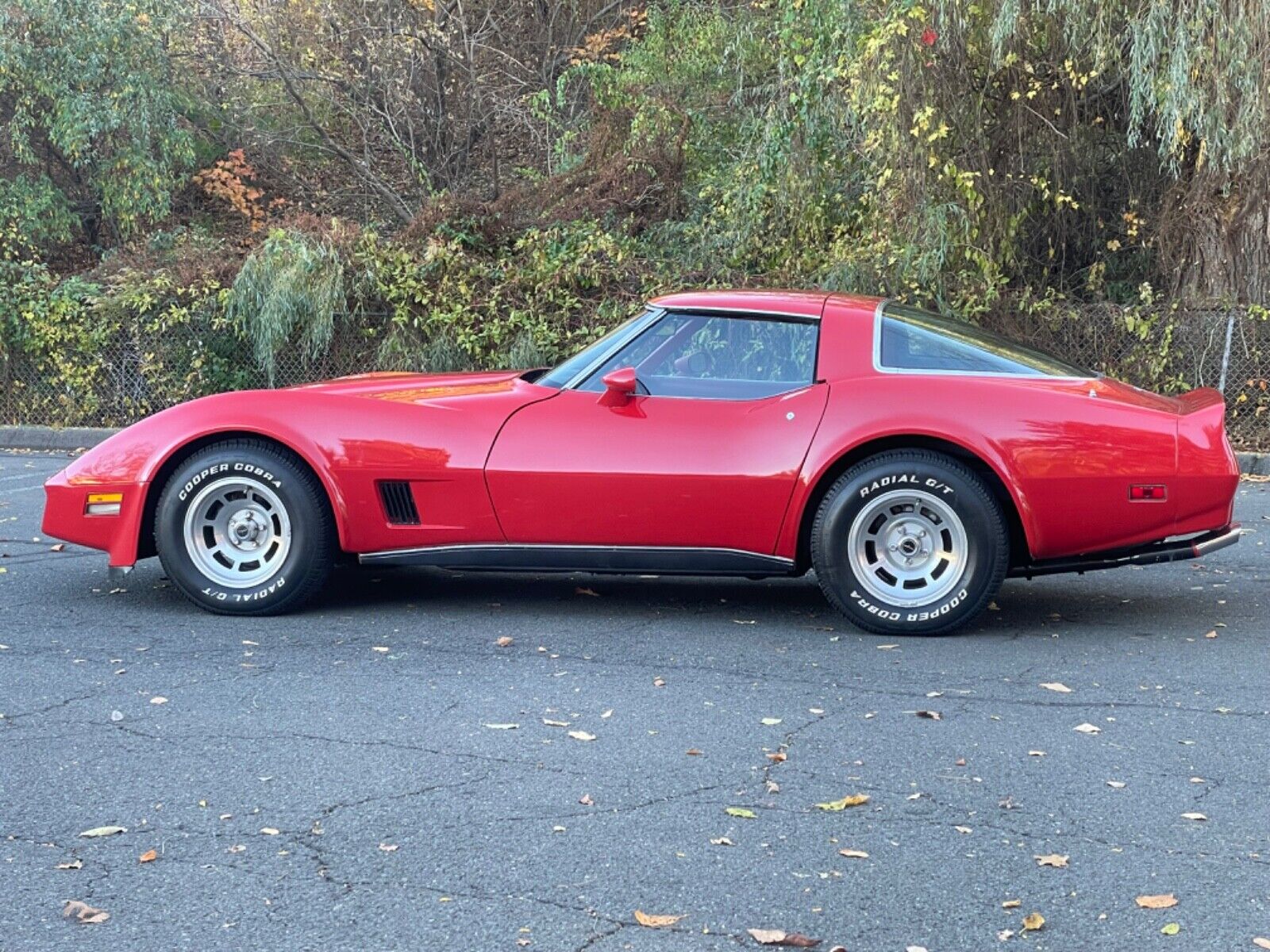 Chevrolet-Corvette-Coupe-1980-3