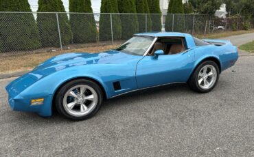 Chevrolet-Corvette-Coupe-1980-35