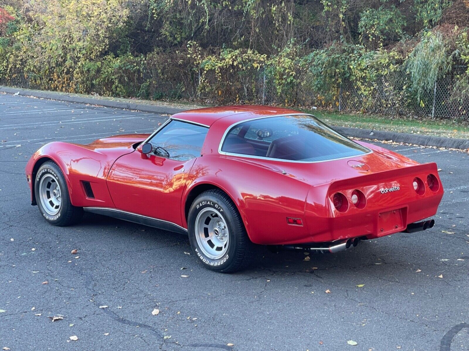 Chevrolet-Corvette-Coupe-1980-5