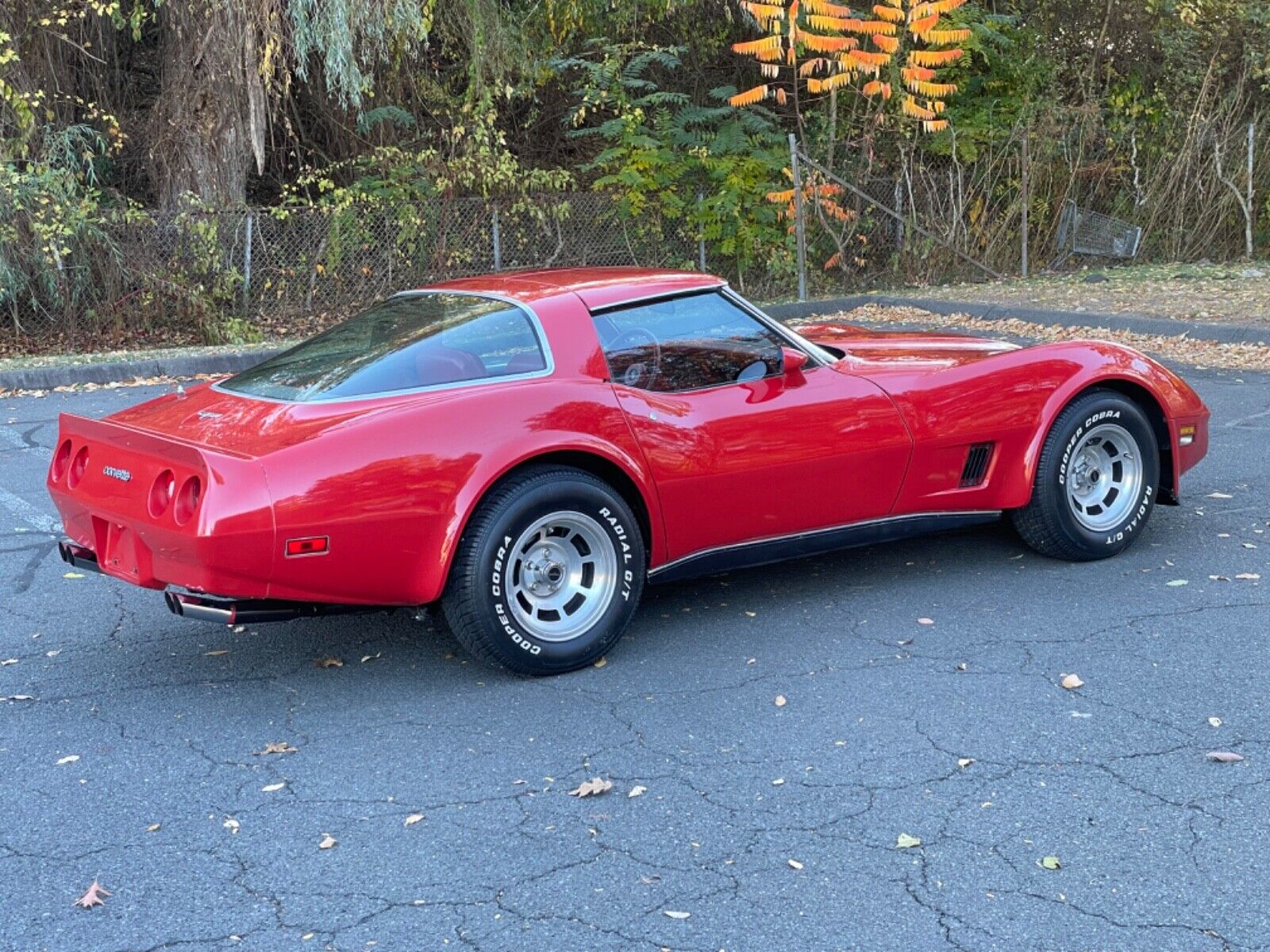 Chevrolet-Corvette-Coupe-1980-6