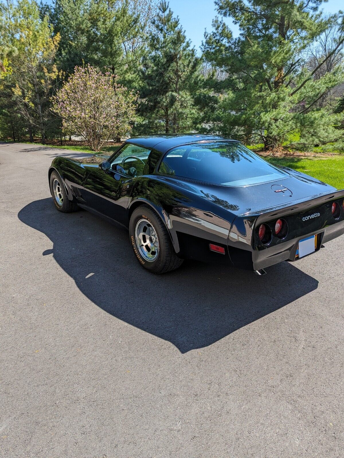 Chevrolet-Corvette-Coupe-1981-1