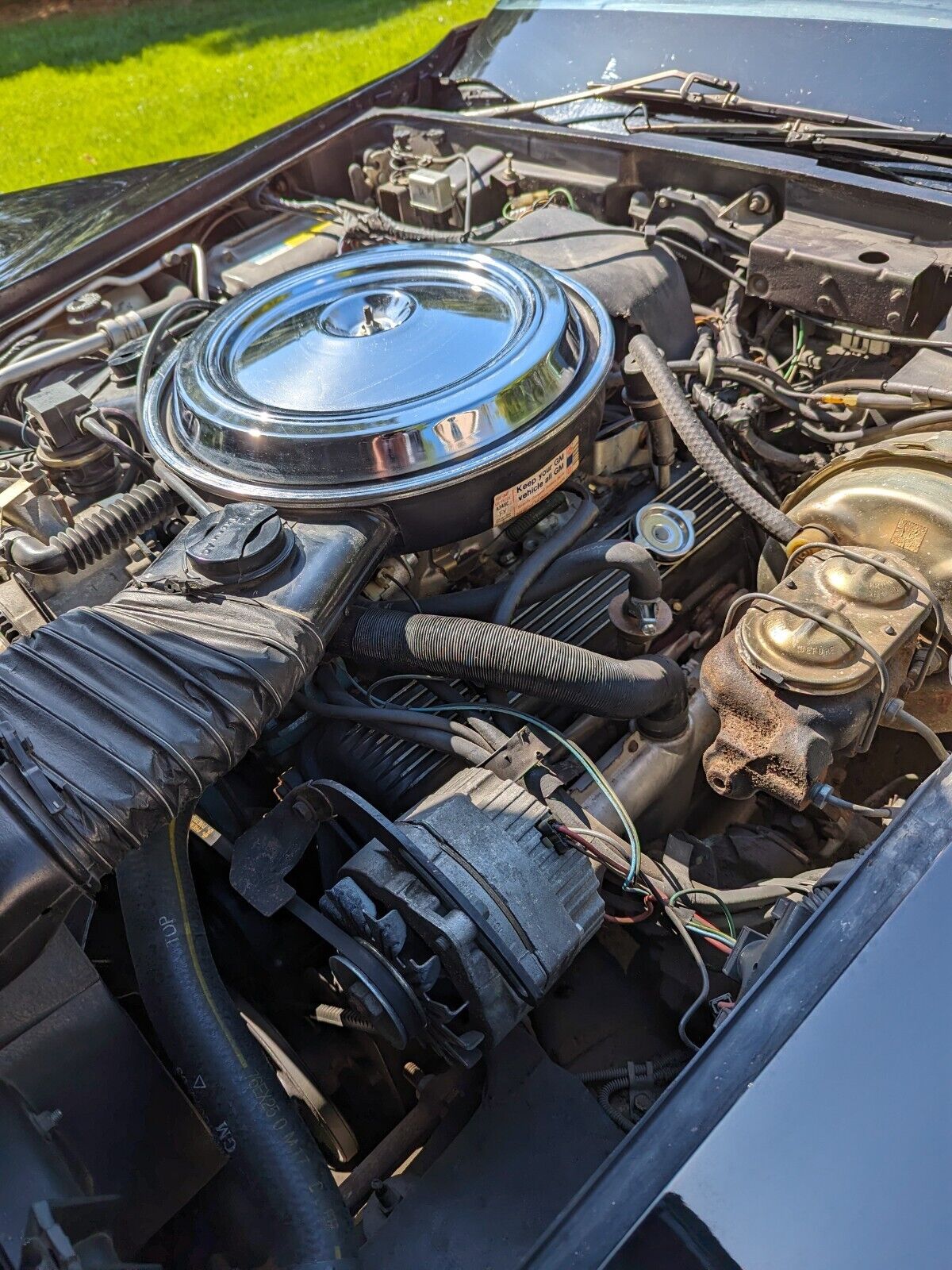 Chevrolet-Corvette-Coupe-1981-11