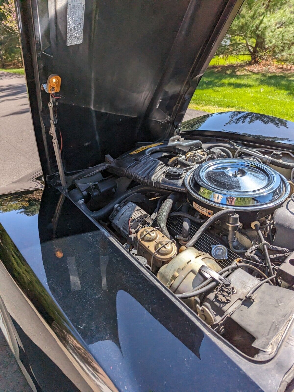 Chevrolet-Corvette-Coupe-1981-12