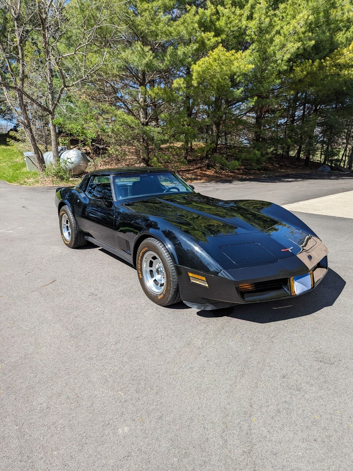 Chevrolet-Corvette-Coupe-1981-2