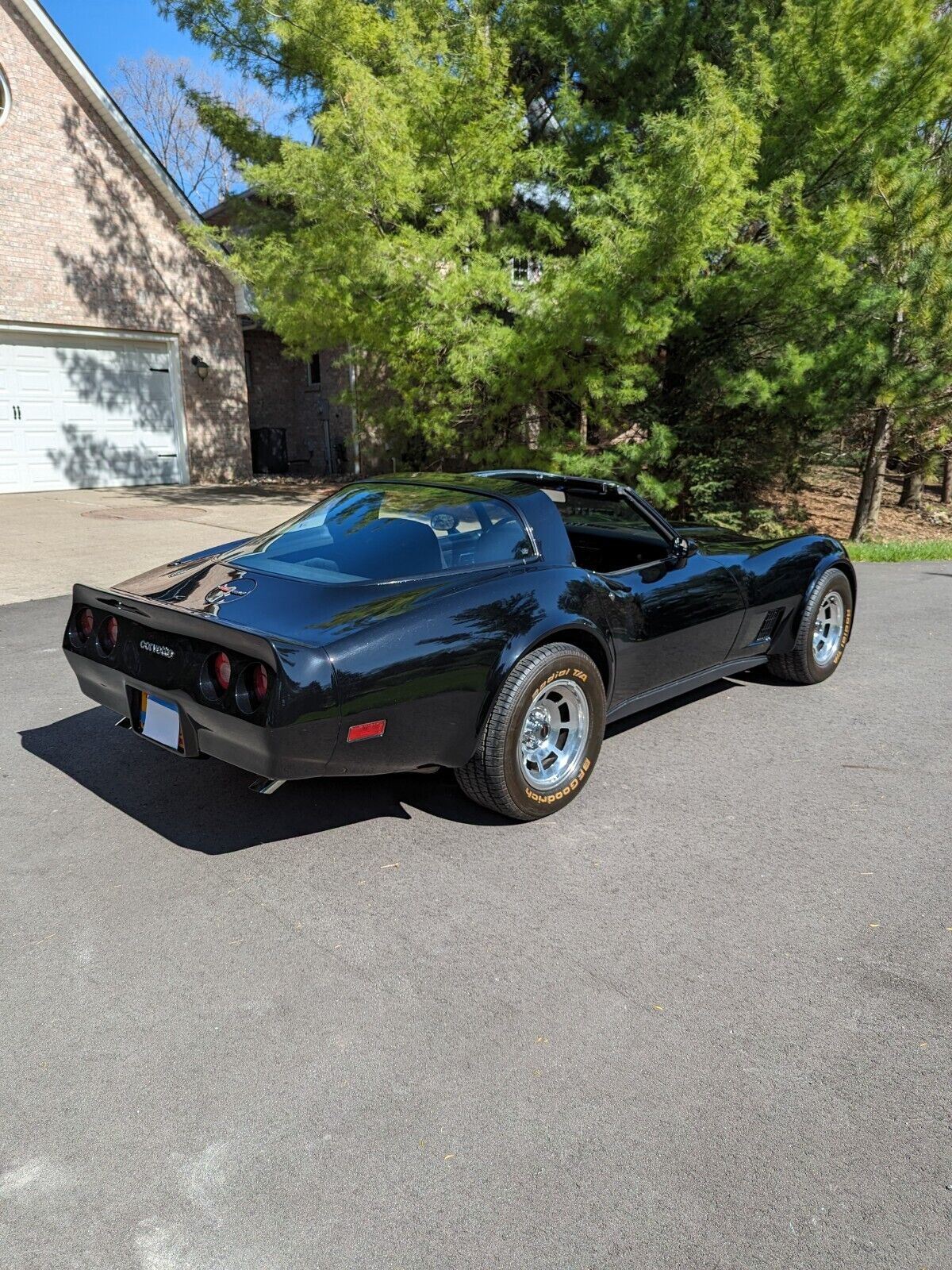 Chevrolet-Corvette-Coupe-1981-25