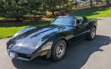 Chevrolet-Corvette-Coupe-1981-26