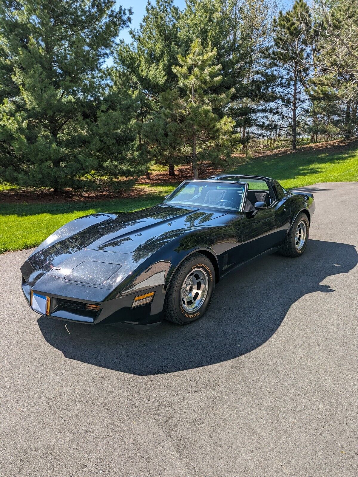 Chevrolet-Corvette-Coupe-1981-26