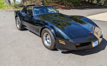 Chevrolet-Corvette-Coupe-1981-27