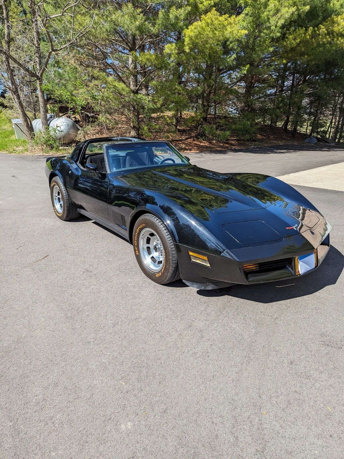 Chevrolet-Corvette-Coupe-1981-27