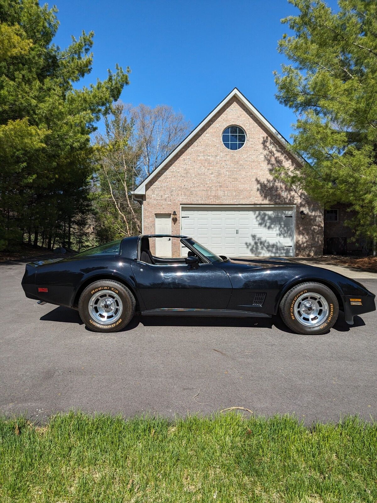 Chevrolet-Corvette-Coupe-1981-28