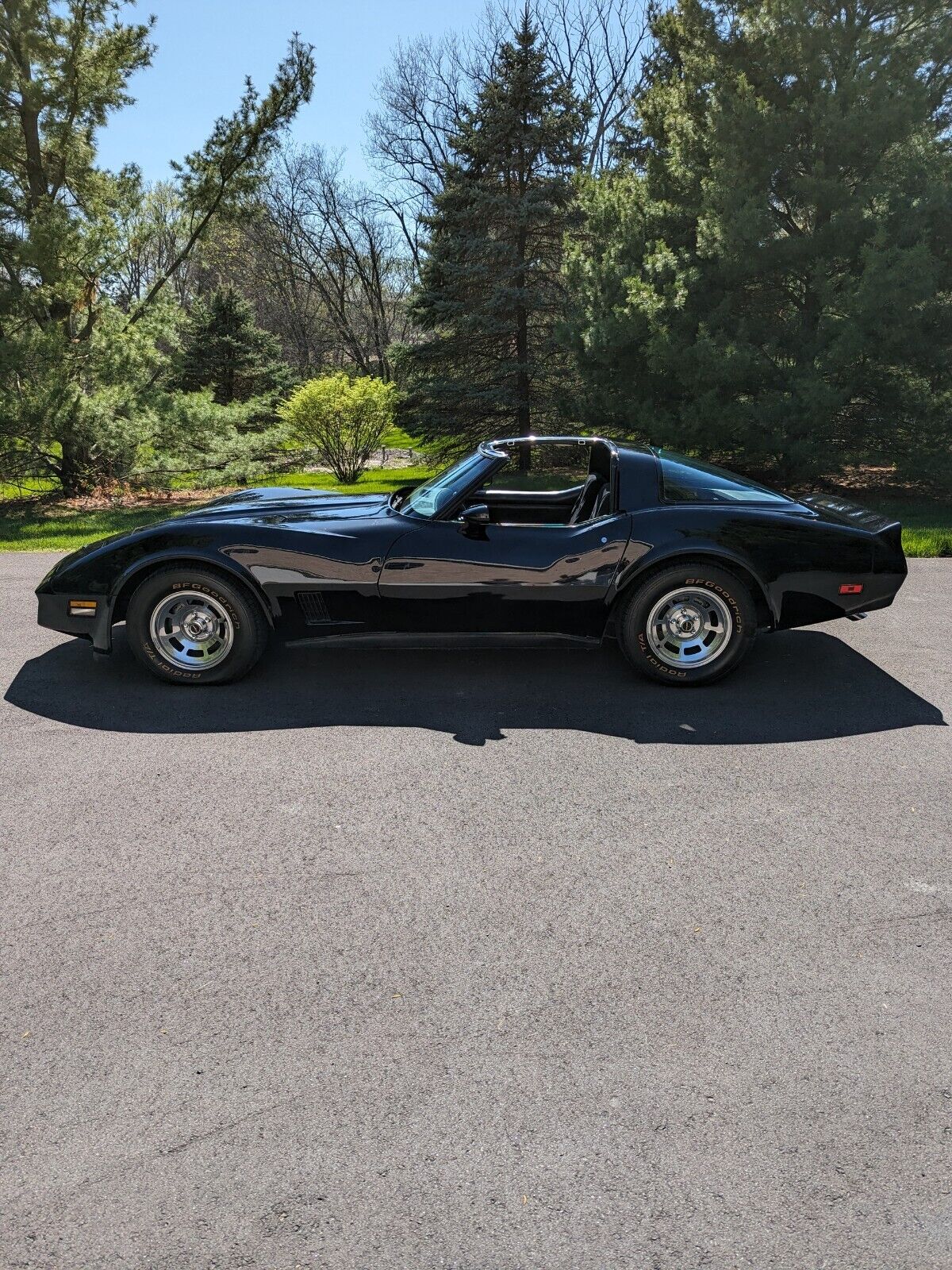 Chevrolet-Corvette-Coupe-1981-29