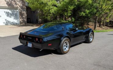 Chevrolet-Corvette-Coupe-1981-3