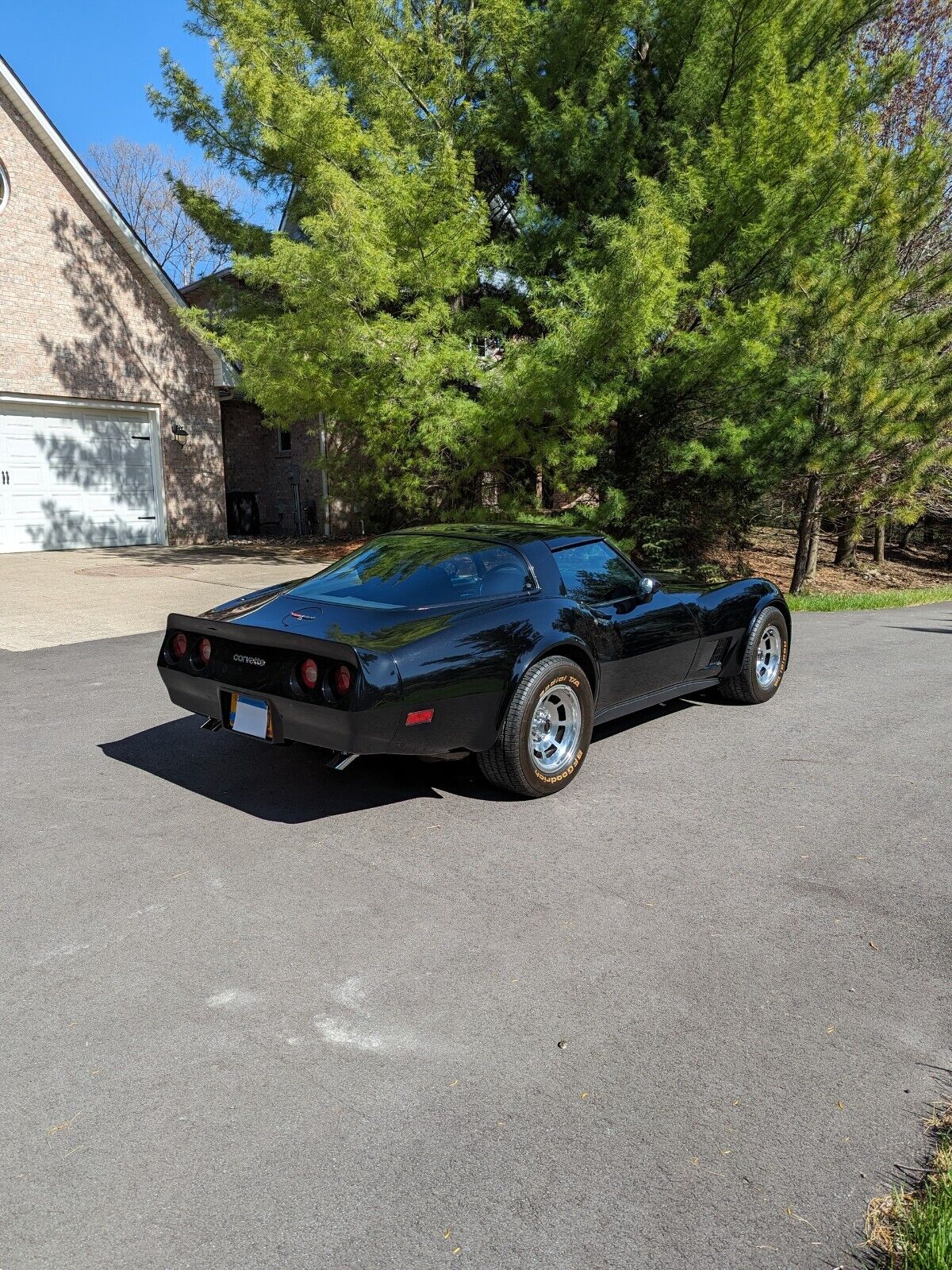 Chevrolet-Corvette-Coupe-1981-3