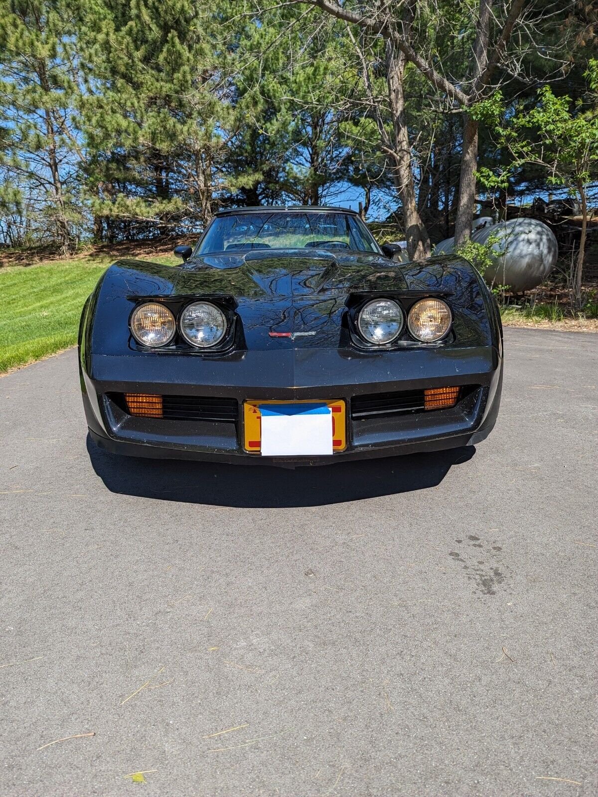 Chevrolet-Corvette-Coupe-1981-30